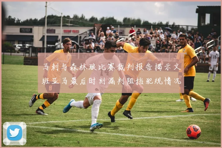 马刺与森林狼比赛裁判报告揭示文班亚马最后时刻漏判阻挡犯规情况