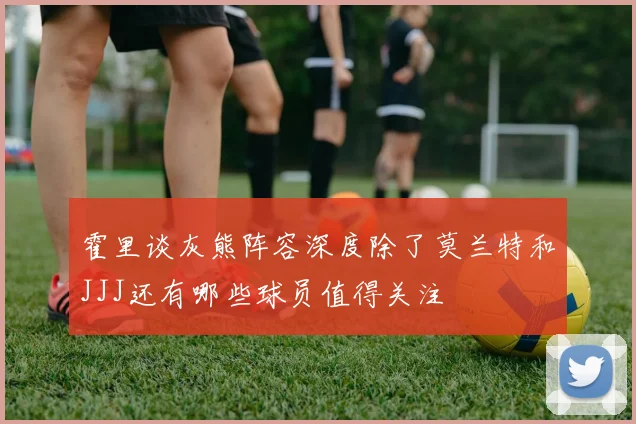 霍里谈灰熊阵容深度除了莫兰特和JJJ还有哪些球员值得关注